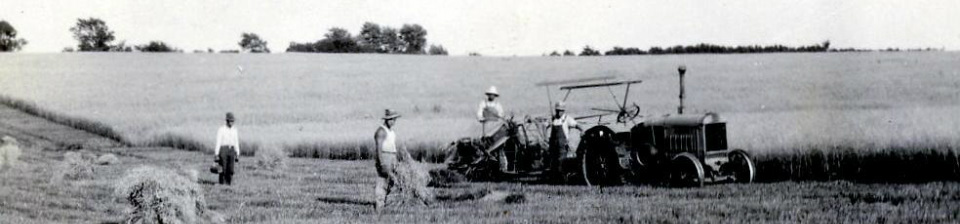 Shocking Hay in 1930